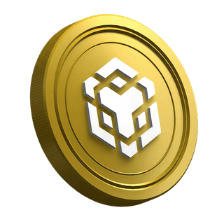 Stranica vodiča za nove trgovce s prikazom Binance BNB kripto novčića
